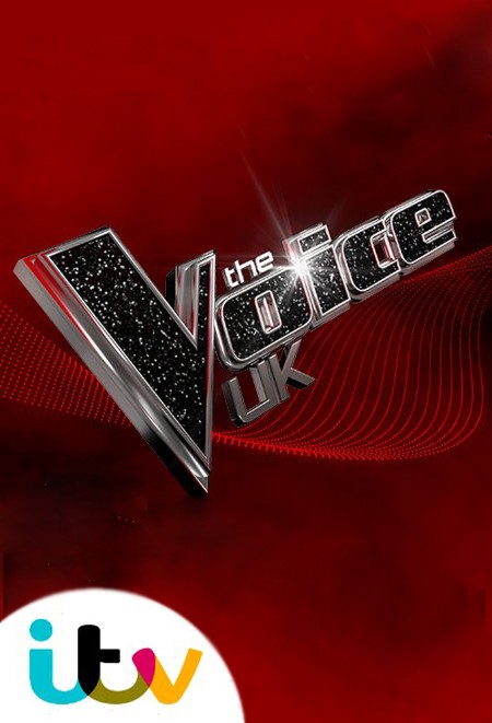 The Voice UK S12E01 1080p HDTV H264-DARKFLiX