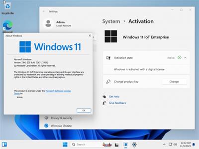 Windows 11 IoT Enterprise 23H2 Build 22631.2506 (No TPM Required) Preactivated  Multilingual