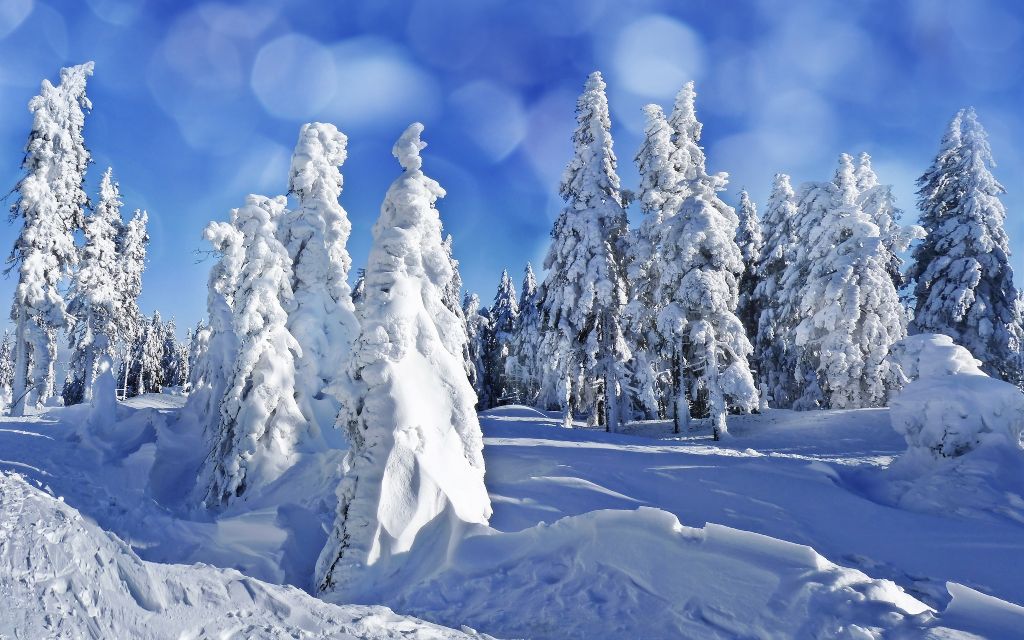 Zimski pejzaži-Winter landscapes - Page 4 06f5b971b4b6840e36d84591f0890c0f