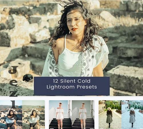 12 Silent Cold Lightroom Presets - 99KFG9Z