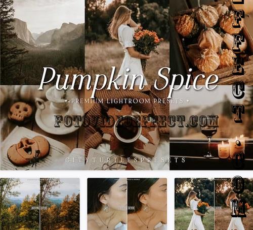 Pumpkin Spice Fall Lightroom Preset - 91583916