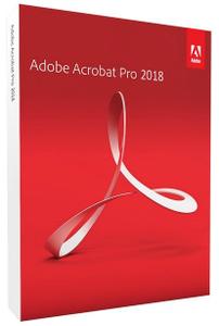 Adobe Acrobat Pro DC 2023.006.20380 Portable (x64)