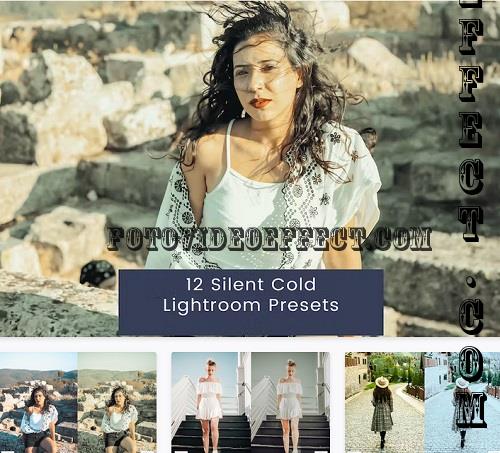 12 Silent Cold Lightroom Presets - 99KFG9Z