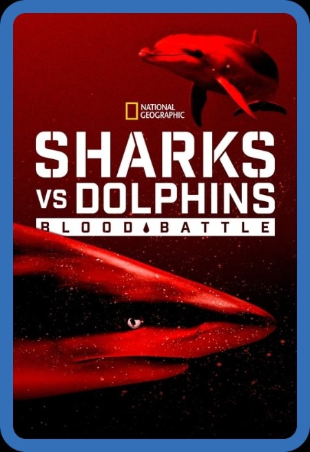 Sharks vs Dolphins Blood Battle (2020) 1080p WEBRip x265-RARBG