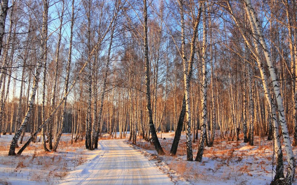 Zimski pejzaži-Winter landscapes - Page 4 F576e0f5dc1e0d2ee29e3c7060b3b890