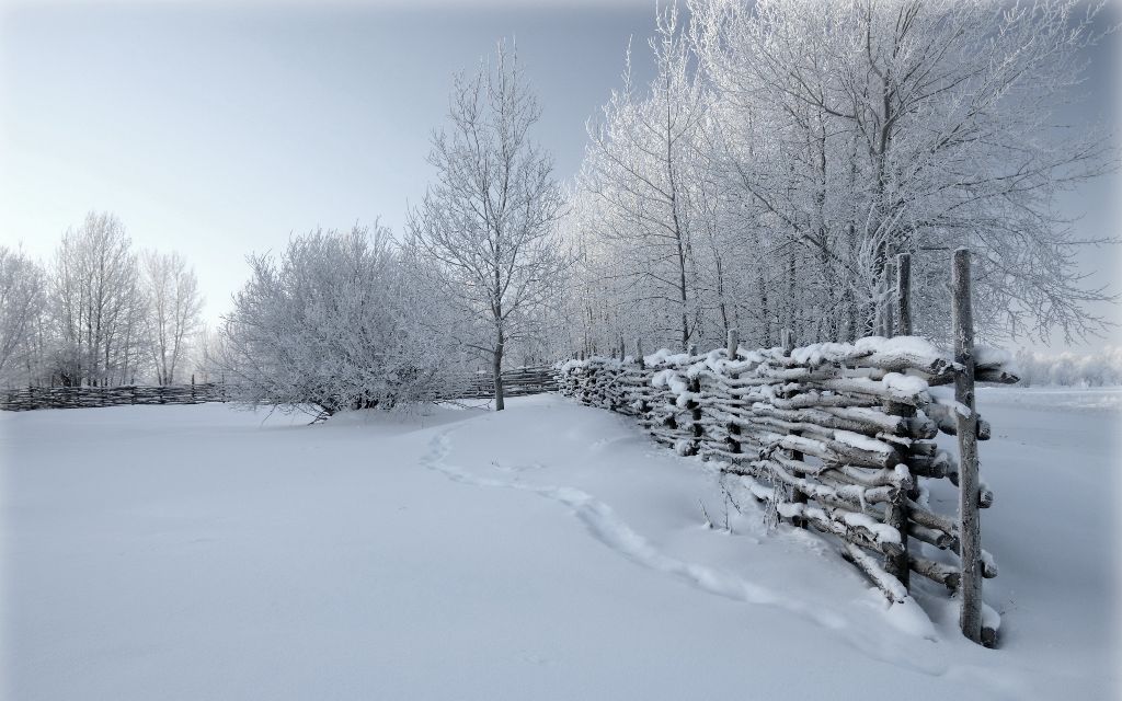 Zimski pejzaži-Winter landscapes - Page 4 171b1f26040b882e24c15a14508c96ec
