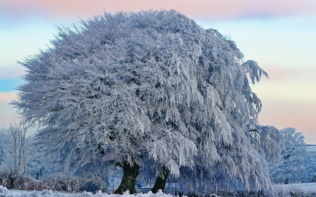 Zimski pejzaži-Winter landscapes - Page 4 C77acaadc90a9d2c155064b10b3f33f9