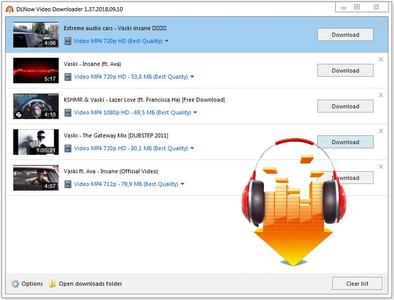 DLNow Video Downloader 1.51.2023.11.11 Multilingual Portable