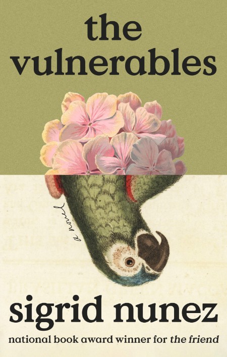 The Vulnerables by Sigrid Nunez  91f202c124bb947fd0f5a7ef47dd7642