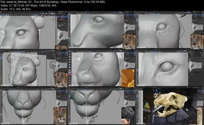 Blender 3D - The Art of  Sculpting 5430dafccdcc8657a0e43eec4a2227a0