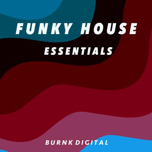 VA - Funky House Essentials 7 (2023) (MP3)
