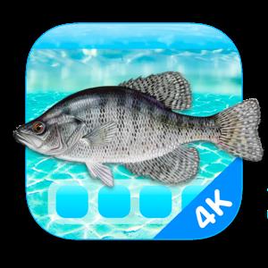 Aquarium 4K – Live Wallpaper 1.0.5 macOS
