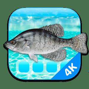 Aquarium 4K - Live Wallpaper 1.0.5  macOS