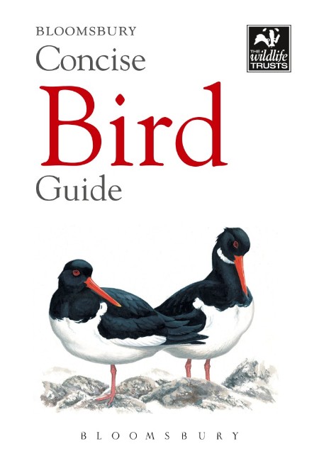 Concise Bird Guide (Bloomsbury Concise Guides)