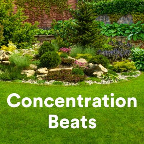 Concentration Beats (2023)