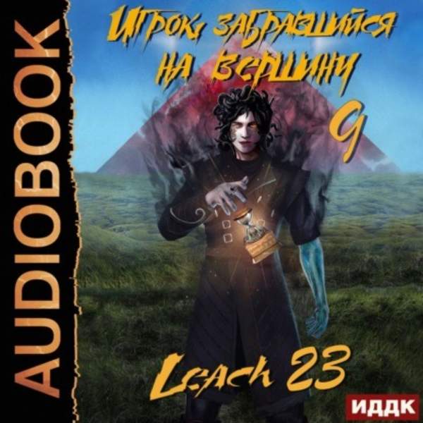 Михалек Дмитрий (Leach23) - Игрок забравшийся на вершину. Книга 9 (Аудиокнига)