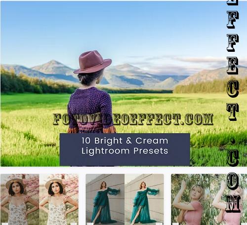 10 Bright & Cream Lightroom Presets - TDTR4Z6