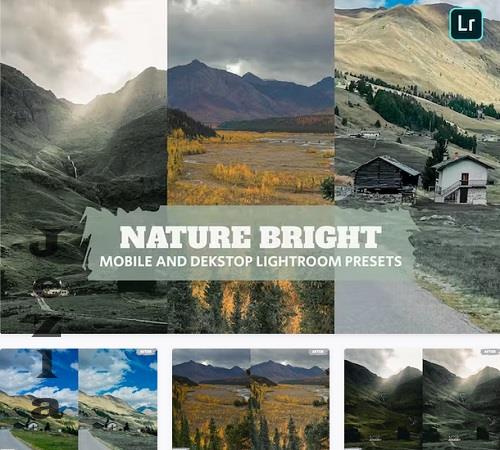 Nature Bright Lightroom Presets Dekstop and Mobile - JMRKU8C