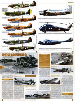 Wing Masters 22 - Scale Drawings and Colors