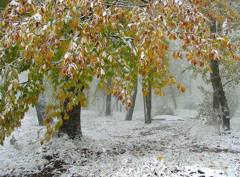 Zimski pejzaži-Winter landscapes - Page 4 6cba0270ee03dd3ea55eb35469736115