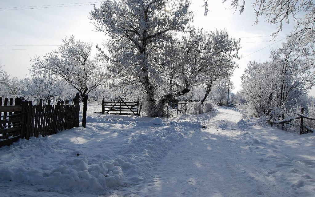 Zimski pejzaži-Winter landscapes - Page 4 B05f634a9fddcf9d64e4b8dbc5b26353