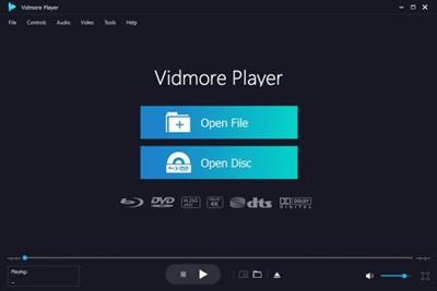 Vidmore Player 1.1.56  Multilingual