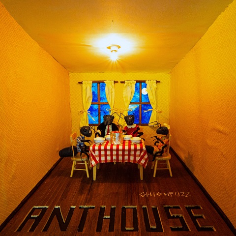 Onionfuzz - Anthouse (2023)