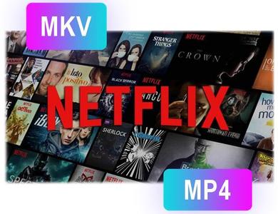 Pazu Netflix Video Downloader 1.6.3 Multilingual