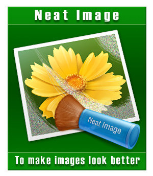 Neat Image Pro 8.3.5 Portable
