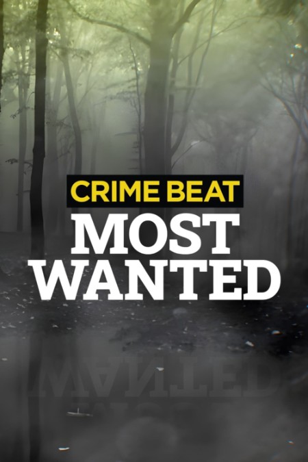 Crime Beat Most Wanted S01E08 1080p AMZN WEB-DL DDP5 1 H 264-NTb