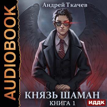 постер к Ткачев Андрей - Князь шаман. Книга 1 (Аудиокнига)