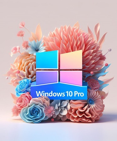 Windows 10 Pro +/ Office 2021