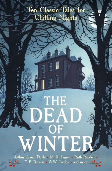 The Dead of Winter by Cecily Gayford 01ad58059868d8bc781660062b70ac91