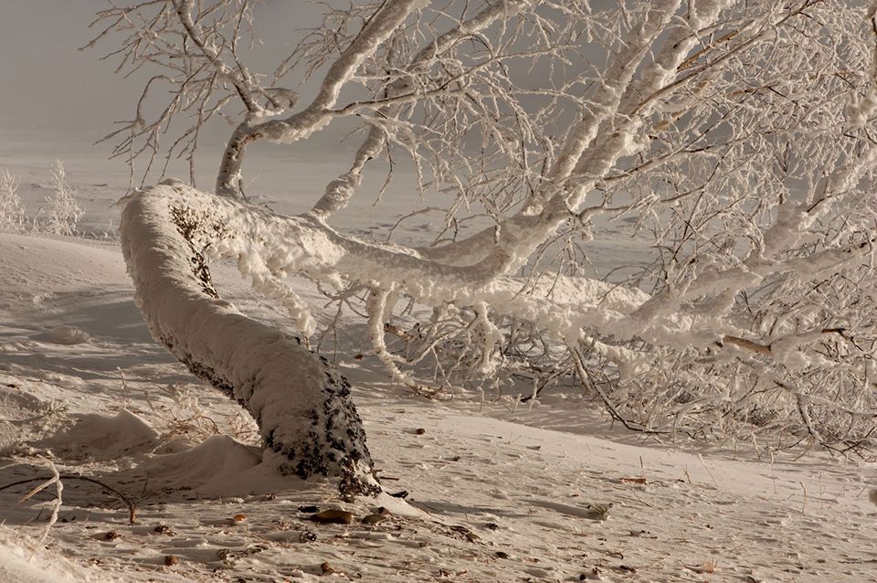 Zimski pejzaži-Winter landscapes - Page 4 959a996416eb16c036090336859522b6