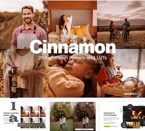 20 Cinnamon Lightroom Presets LUTs - 91619690