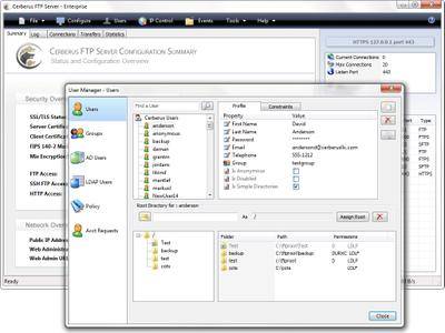 Cerberus FTP Server Enterprise 13.2.0 (x64)