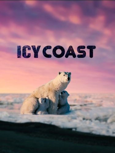 Ледяное побережье / Icy Coast (2020) HDTVRip 720p | P1
