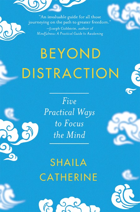 Beyond Distraction by Shaila Catherine