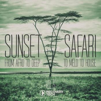 VA - Sunset Safari, Vol. 5 (2023) MP3