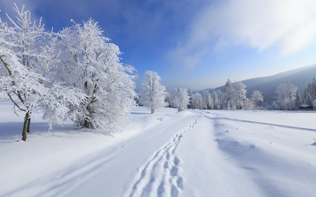 Zimski pejzaži-Winter landscapes - Page 5 5f71870ad5ea58c44a053d451522bf28