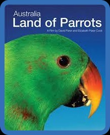 Australia Land Of Parrots (2008) 720p BluRay [YTS]