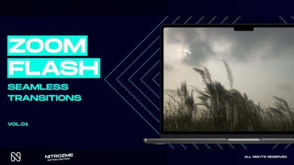 Videohive - Zoom Flash Transitions Vol. 01 49305097