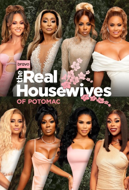 The Real Housewives Of Potomac S08E03 1080p AMZN WEB-DL DDP2 0 H 264-NTb