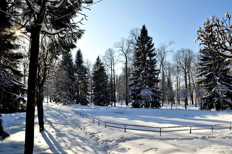 Zimski pejzaži-Winter landscapes - Page 6 Fd81bf2ab718918249dc988a19990b15