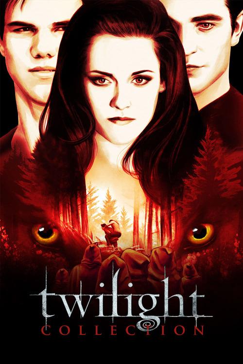 Zmierzch / Twilight (2008-2012)