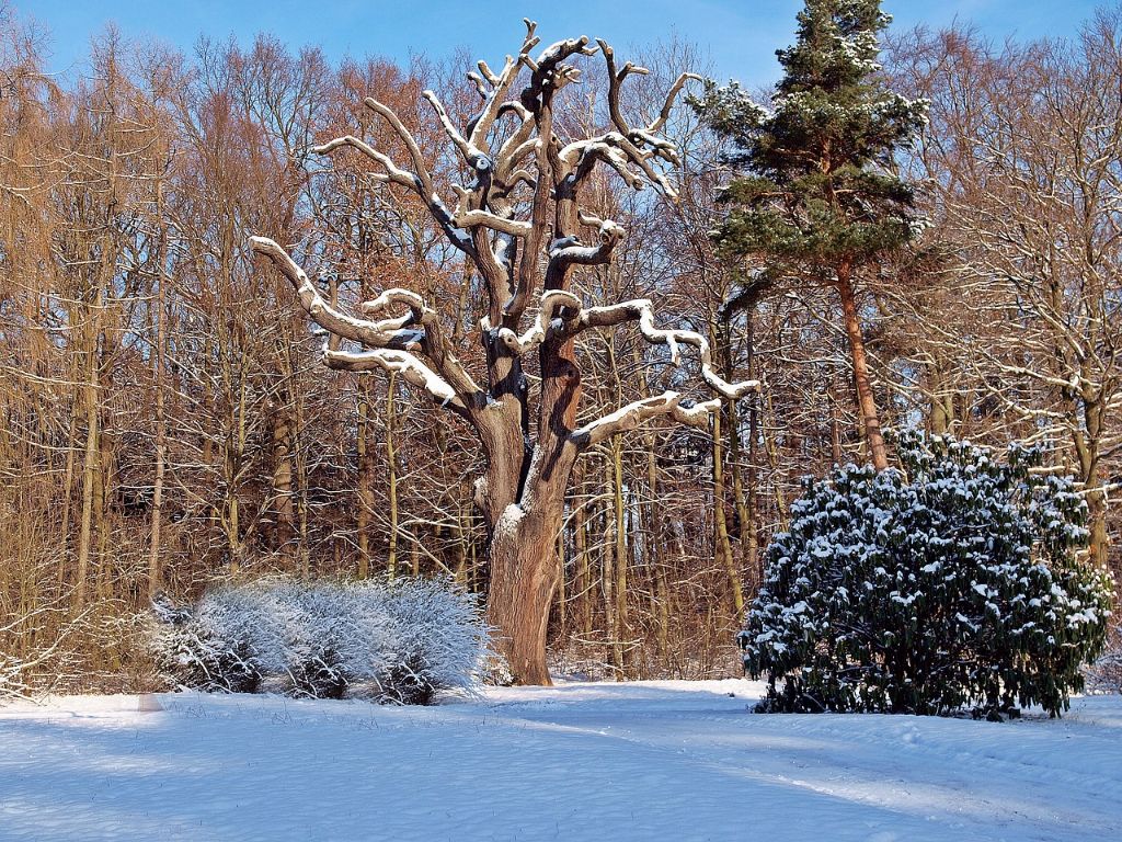 Zimski pejzaži-Winter landscapes - Page 6 1688fa120814e382e690e1b77f3de802