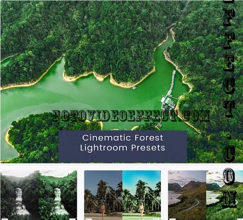 Cinematic Forest Lightroom Presets - Y4BBJ57