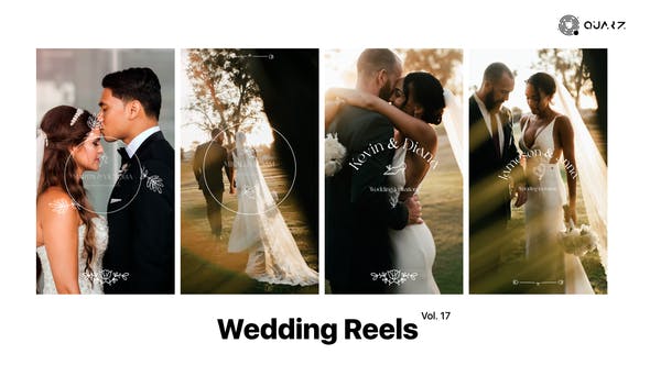 Videohive - Wedding Reels Vol. 17 49308237