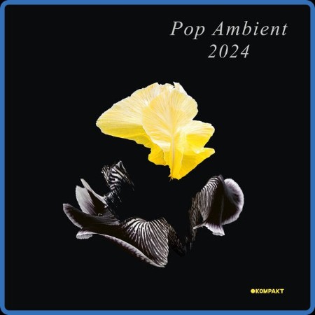 VA - Pop Ambient (2024) 2023