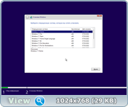 Windows 11 12in1 23H2